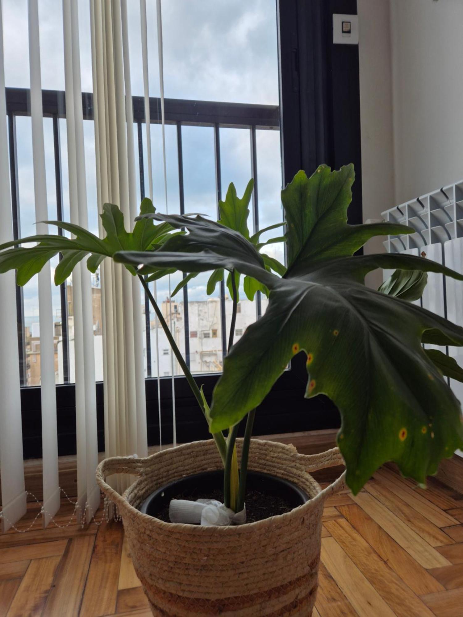 Apartamento Moderno Y Acogedor I